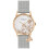 Radley Radley Ladies Silver Mesh Strap Watch RY4399 1