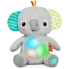 Bright Starts , Hug-a-bye Baby Musical Light Up Soft Toy?