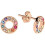 Radley Radley Rocks Rose Gold Rainbow Studs RYJ1110 1