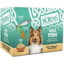 Burns Pet Natural Nutrition Adult & Senior Wet Dog Food - Wild Fish, Carrots & Organic Brown Rice (6 x 395gm)