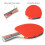 (S) Table Tennis 2 Player Set Bats Rackets 10