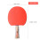(L) Table Tennis 2 Player Set Bats Rackets 9