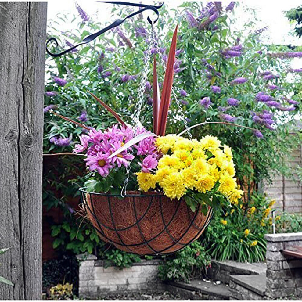 14" Green Garden Hanging Wire Basket Indoor Outdoor Planter
