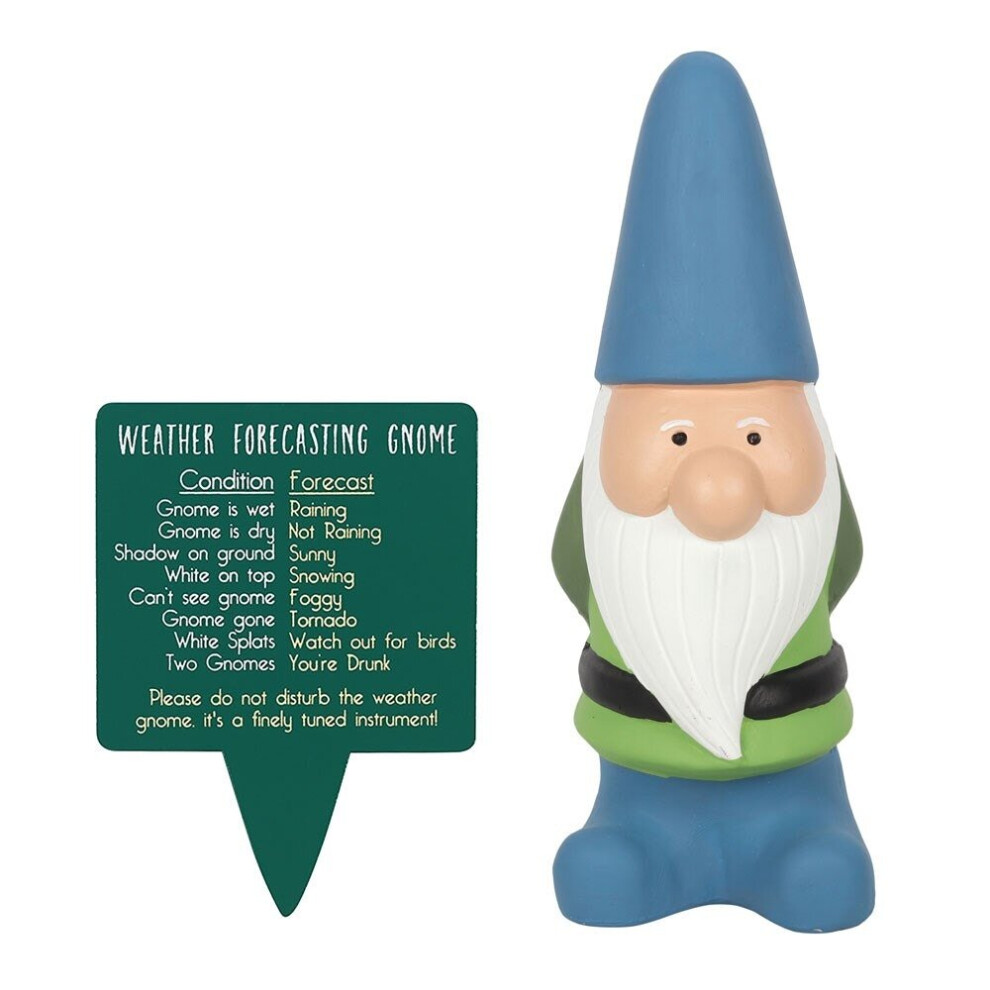 Something Different Blue Weather Forecasting Gnome Large