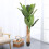 Living And Home 150cm Artificial Banana Tree For Home Decor Artificial Bonsai Tree 1
