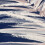 Muriva Dhara Leaf Wallpaper Blue Muriva 191503 5