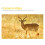 Hunting Trail Camera 14