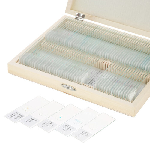 Prepared Microscope Slides Animal Plants Insects Tissues Specimens Set with Wooden Case 100pcs 2