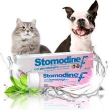 ICF Stomodine F - Cat & Dog Toothpaste Gel - Meat Flavour - Fights Plaque & Bad Breath - Healthy Dental Oral Hygiene - Easy to Use Teeth Cleaner for