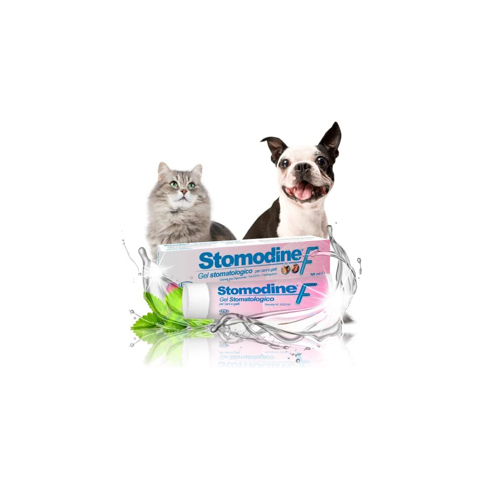 ICF Stomodine F - Cat & Dog Toothpaste Gel - Meat Flavour - Fights Plaque & Bad Breath - Healthy Dental Oral Hygiene - Easy to Use Teeth Cleaner for