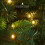 (7ft) VeryMerry 'Snowhill' Pre-Lit Christmas Tree 3