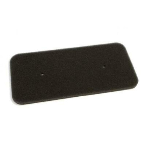 Candy Genuine Candy Tumble Dryer Sponge Filter 40006731
