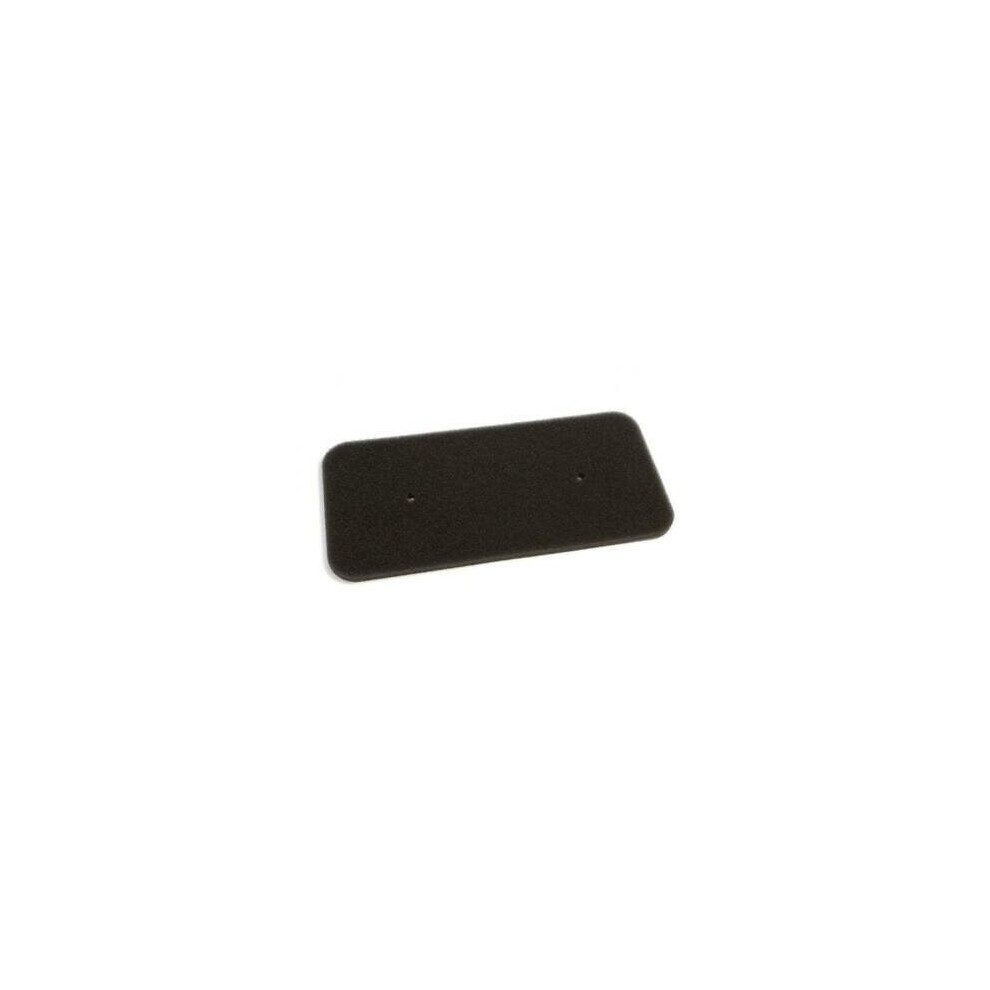 Hoover Genuine Tumble Dryer Sponge Filter 40006731