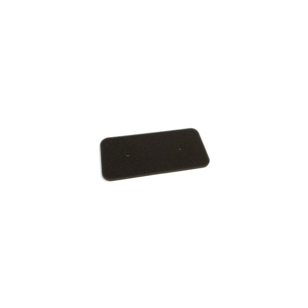 Hoover Genuine Vhc 980Atxx-S Tumble Dryer Sponge Filter