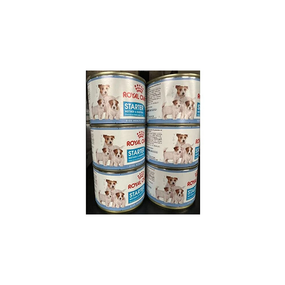 ROYAL CANIN Starter Mousse, Mother & Babydog Dog Food Cans 6 X 195g and Little Gift