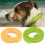 (Orange) Pet Flea Collar 3