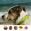 (Green) Pet Flea Collar 5