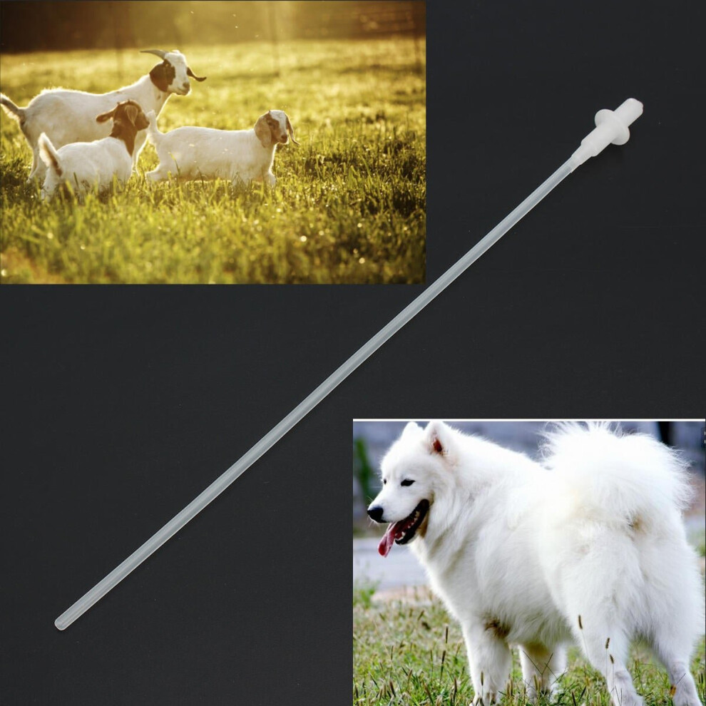 50* Canine Dog Sheep Goat Artificial Insemination Breed Whelp Soft Catheter Plastic Rod