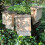 Selections Large Wooden Bat Nesting Roosting Box (Set of 3) 3