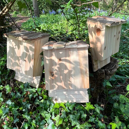 Selections Large Wooden Bat Nesting Roosting Box (Set of 3) 2