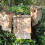 Selections Large Wooden Bat Nesting Roosting Box (Set of 3) 2