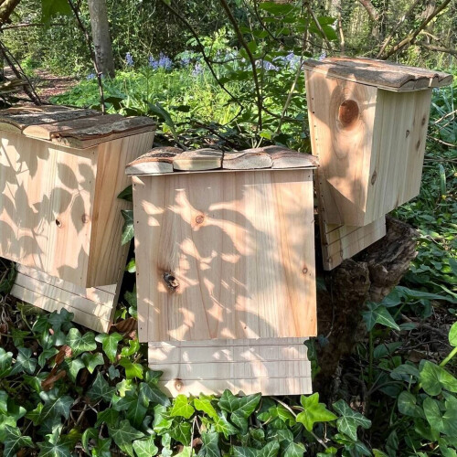Selections Large Wooden Bat Nesting Roosting Box (Set of 3) 1
