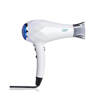 InStyler Professional, Ceramic & Lightweight TURBO Ionic Blow Dryer | Salon Quality Hair at Home | Reduce Fizz, Straighten, and Style | Ionic Gen