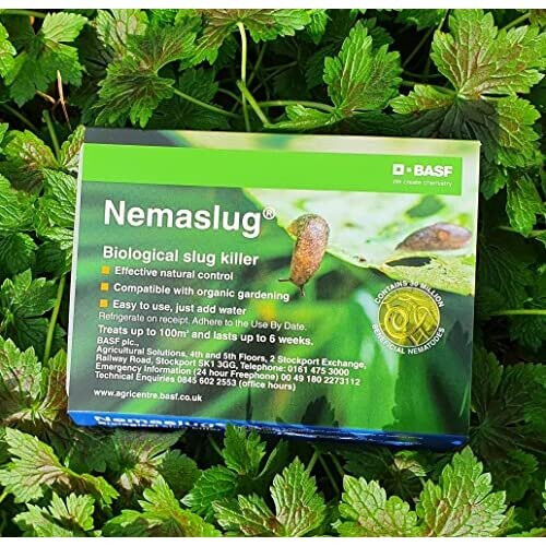 Nemaslug Slug Killer large pack 100sm 1