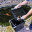 Hozelock Hozelock Pond Vacuum Collection Basket 4