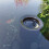 Oase Aquaskim 40 Pond Surface Skimmer 4