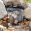 Pontec PondoFall Stream Courtyard, Black 3