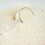 Nishikoi Nishikoi ClearWaters 5L Pond Treatment 2