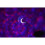 Night Light Projector with Music LED Star Light Projector Remote Control Galaxy Star Sky Projector Light Starry Projector Star Projector Night Li 7