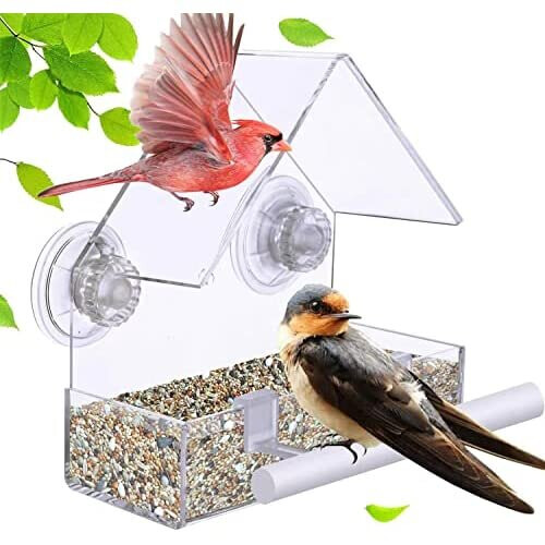 Extra Strong Suction Sups Window Bird Feeder with Drainage Holes ...