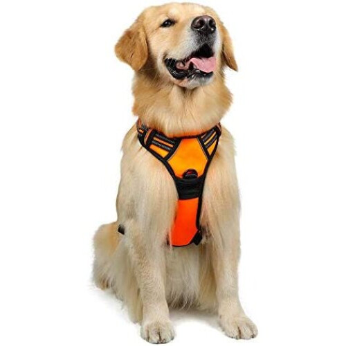 rabbitgoo Dog Harness Large Dog No Pull Pet Harness with 2 Leash Clips Adjustable Soft Padded Pet Vest Harness Reflective No Choke with Easy Control on OnBuy