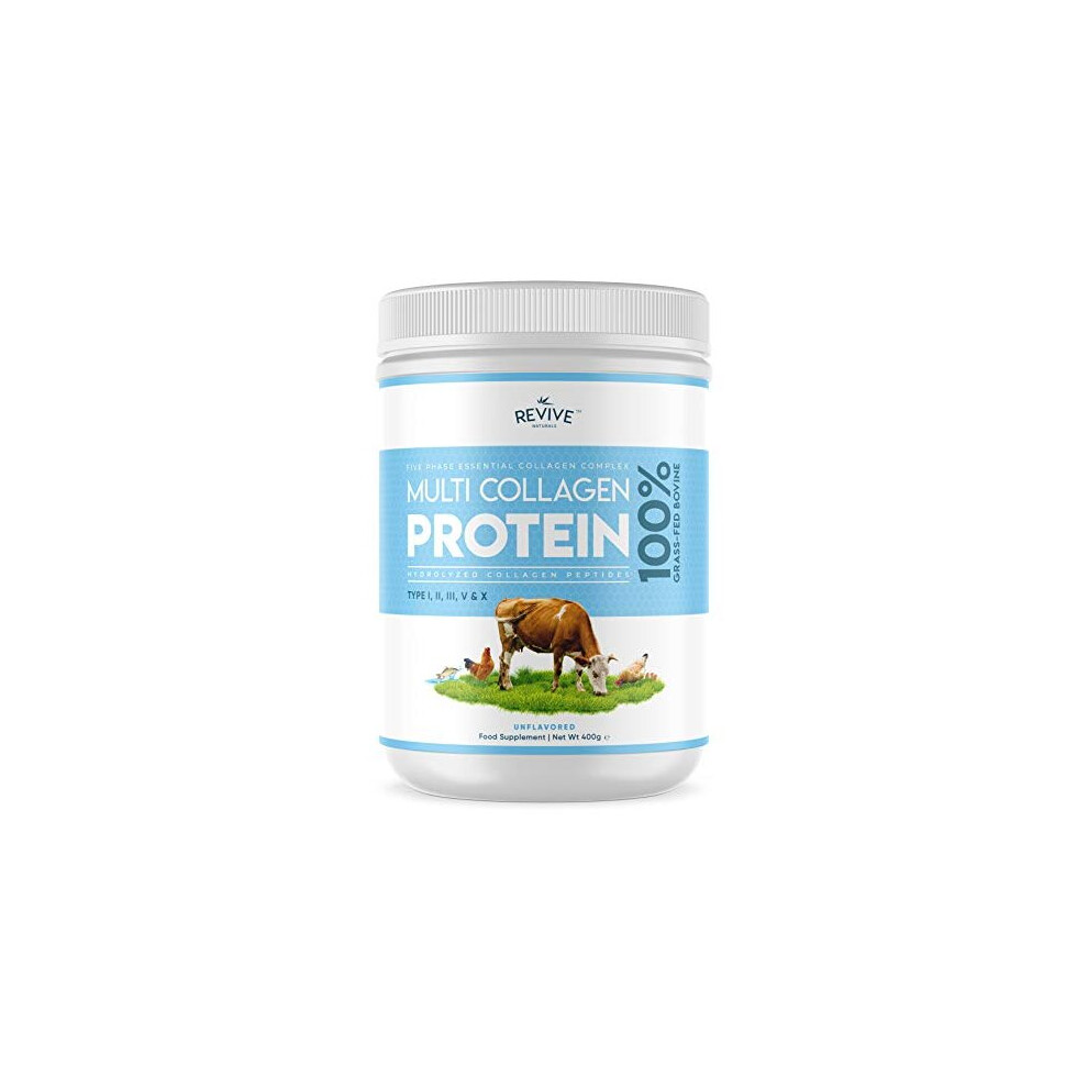 Multi Collagen Protein Powder (400g) - Types I, II, III, V & X - Hydrolyzed Grass Fed Bovine, Wild Caught Fish, & Free-Range Chicken & Eggshell