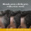 Just For Men Just for men Control GX, Grey Reducing 2-in-1 Shampoo & Conditioner for Grey Hair – All Shades, 147 ml 2