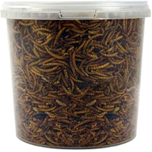 SQUAWK Dried Mealworms - Premium Quality Wild Bird Food Garden Snacks For Birds