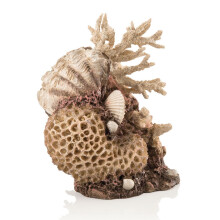 biOrb Coral Shell Ornament Natural