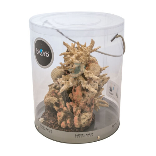 Biorb biOrb Coral Shell Ornament Natural 2