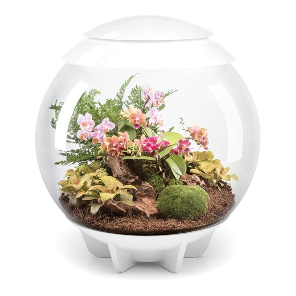 biOrb AIR 60 Litre Automatic Terrarium in White with LED Lighting