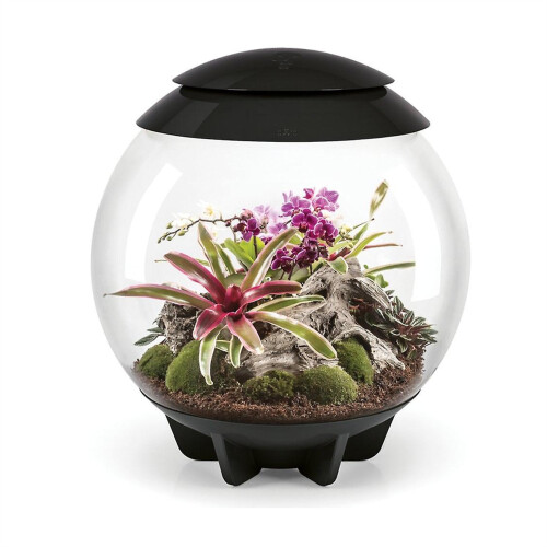 Biorb biOrb AIR 60 Litre Automatic Terrarium in Black with LED Lighting