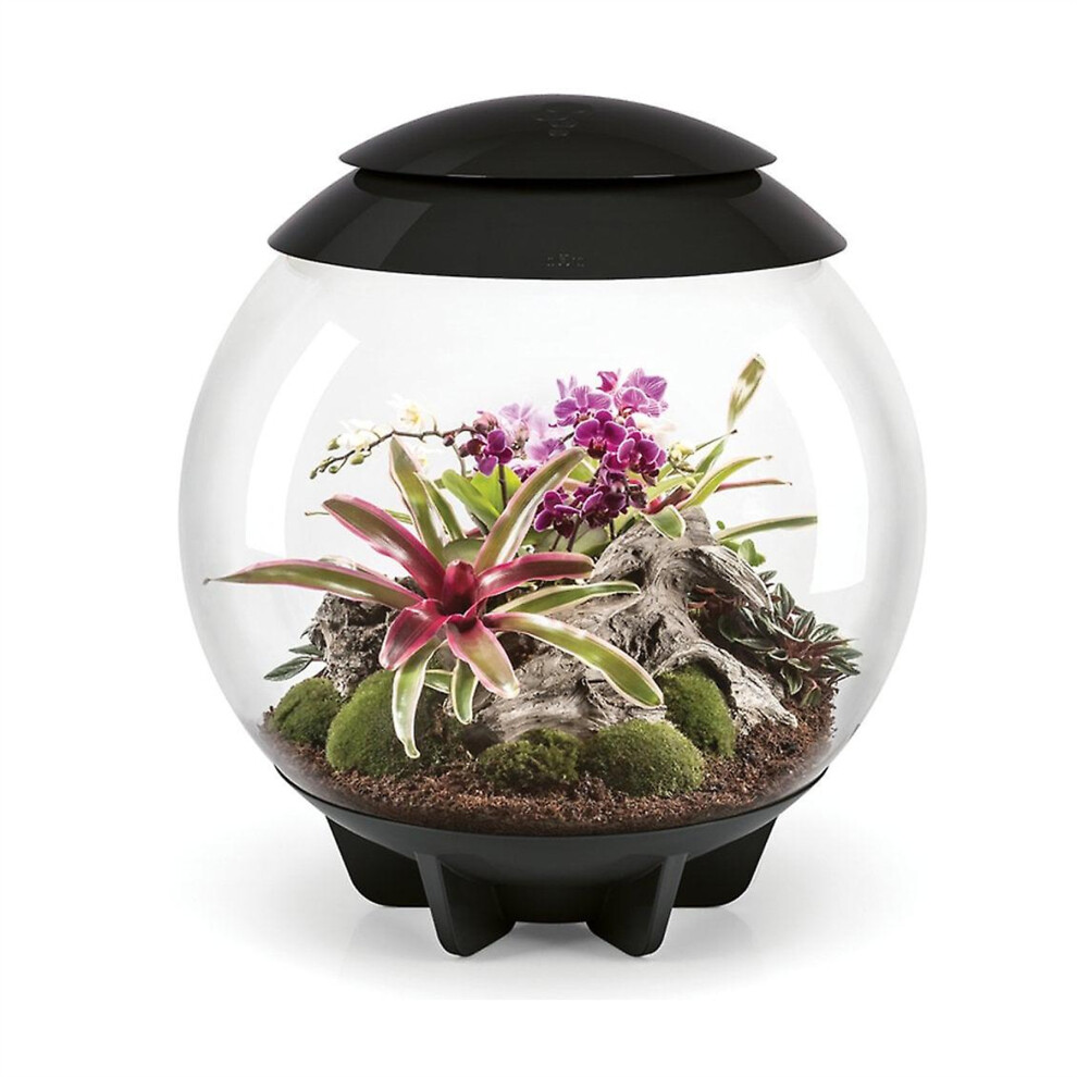 biOrb AIR 60 Litre Automatic Terrarium in Black with LED Lighting