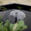 Blagdon Blagdon Affinity Grand Half-Moon Pool 480L With LED Lights 6