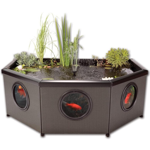 Blagdon Blagdon Affinity Grand Half-Moon Pool 480L With LED Lights