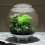 Biorb biOrb AIR 60 Litre Automatic Terrarium in White with LED Lighting 2