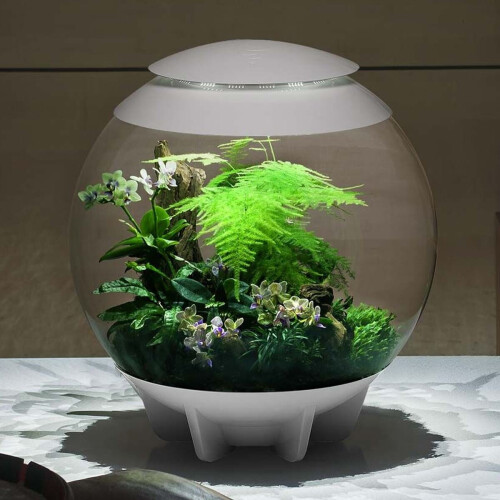 Biorb biOrb AIR 60 Litre Automatic Terrarium in White with LED Lighting 1