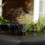 Blagdon Blagdon Affinity Grand Half-Moon Pool 480L With LED Lights 7