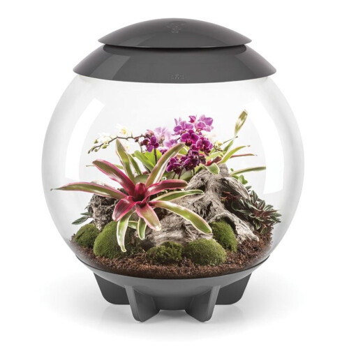 Biorb biOrb AIR 60 Litre Automatic Terrarium in Grey with LED Lighting