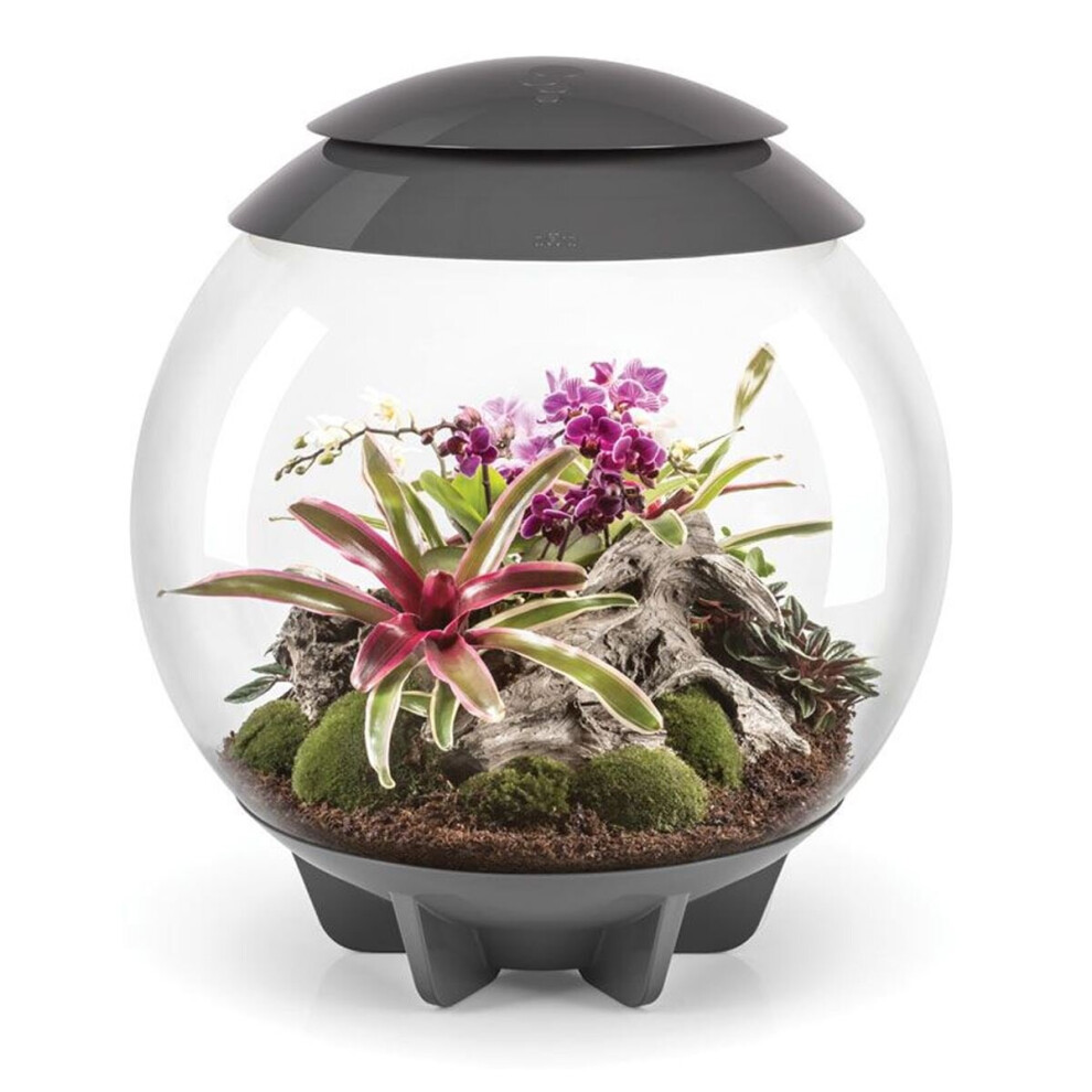 biOrb AIR 60 Litre Automatic Terrarium in Grey with LED Lighting